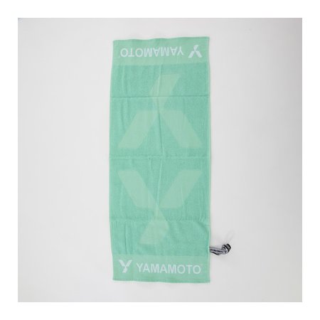 SPORTS TOWEL PROTEAM...