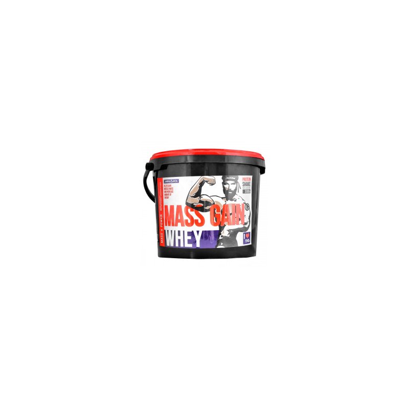 Vendita online GAINER  WHEY MASS  GAIN  3KG costo  35,00 €  spedizione in 24h