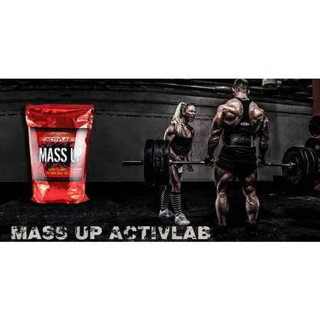 GAINER MASS UP 3500 GR COOKIE